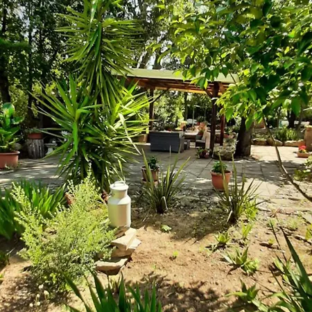 E Glamping Serraiola Alta Landhaus *