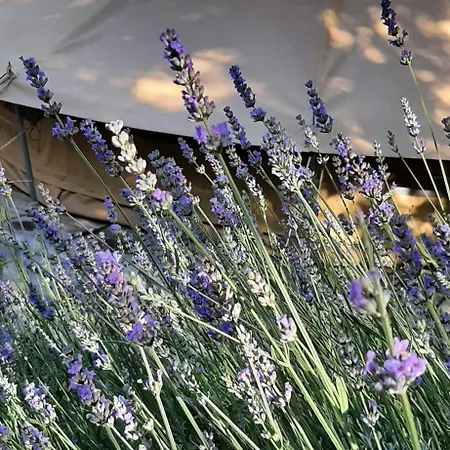 Landhaus E Glamping Serraiola Alta Monterotondo (Tuscany)