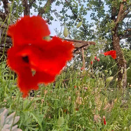 E Glamping Serraiola Alta * Frassine