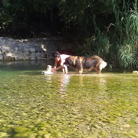 Εξοχικό σπίτι E Glamping Serraiola Alta *