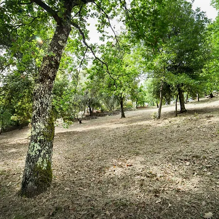 E Glamping Serraiola Alta Εξοχικό σπίτι Frassine