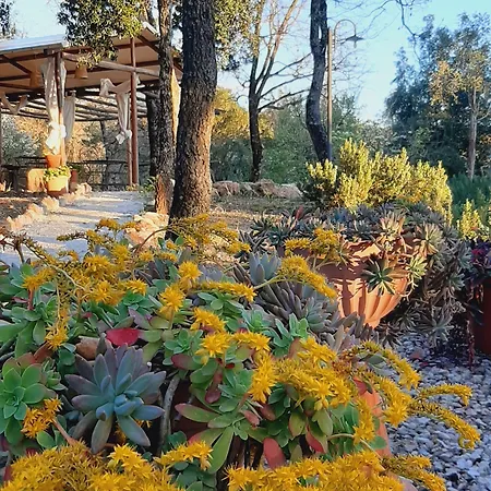 E Glamping Serraiola Alta * Frassine