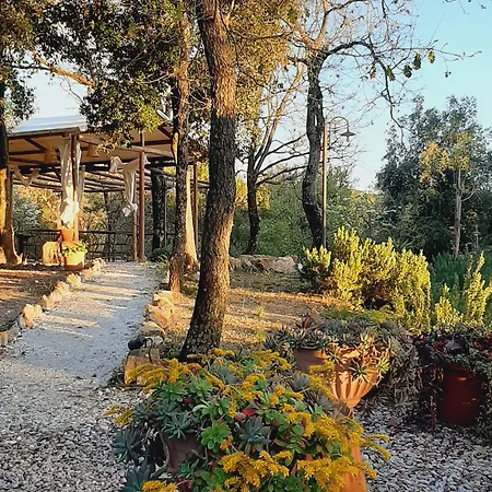 E Glamping Serraiola Alta Εξοχικό σπίτι