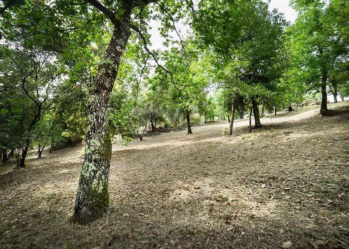 E Glamping Serraiola Alta Venkovský dům Frassine